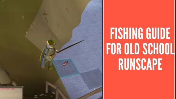 Fishing Guide For OSRS
