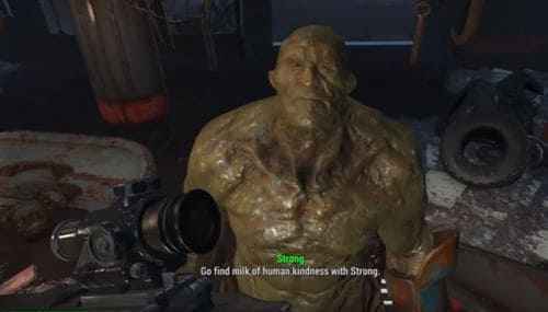 Strong fallout 4